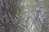 Denholme Gate fibreglass roof work